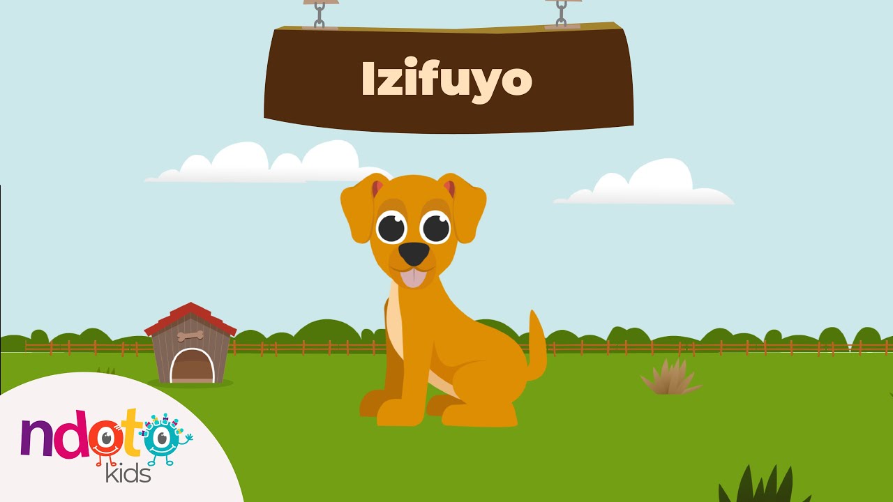 Izifuyo (Domestic Animals) | Ukufunda Amabala (Learning Words) | isiNdebele | Ndoto Kids