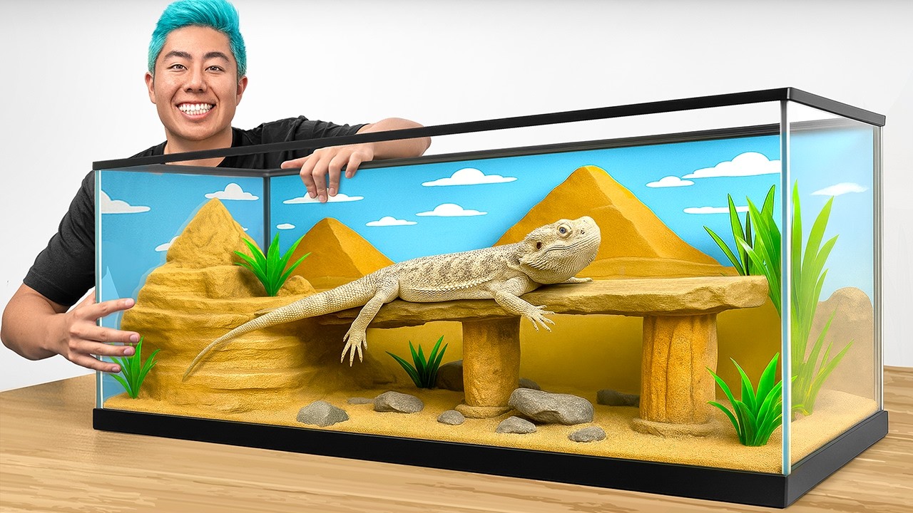 I Transformed My Pet Lizards Home!