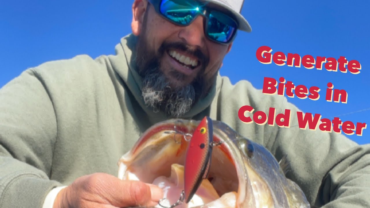 Overlooked Rat-L-Trap Retrieve for Winter Bass Fishing | #bassfishing #rattletrap #liplesscrankbait 