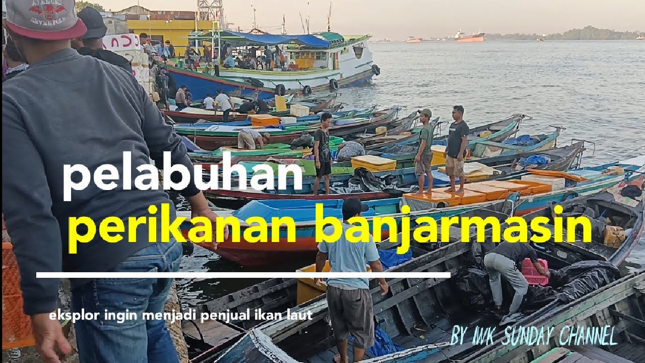 Pelabuhan perikanan banjarmasin #ingin menjadi penjual ikan laut