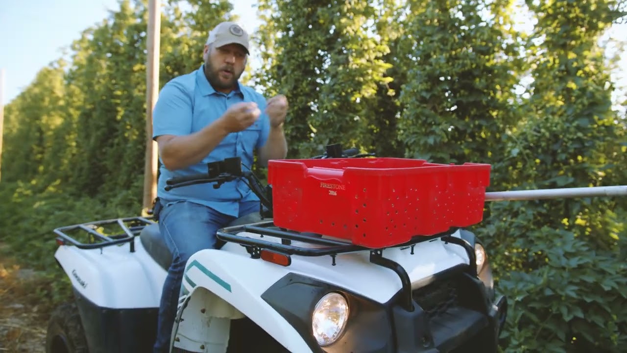 2023 Hop Crop: Pre-Harvest Field Report - Yakima Chief Hops