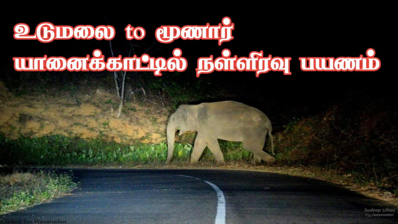 Thrill Udumalai to Munnar Mid Night Bus Journey | Jolly Trip