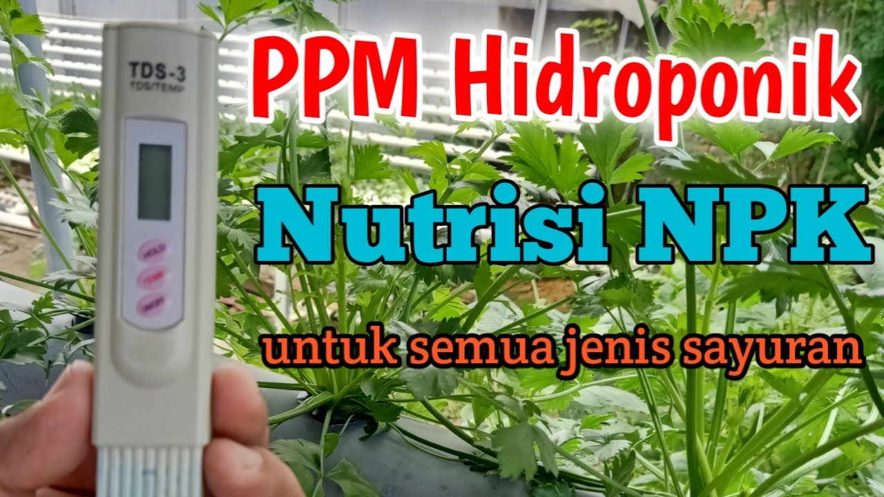 PPM Hidroponik Nutrisi NPK, sangat rendah dan bisa untuk semua tanaman ~ Hidroponik Bone