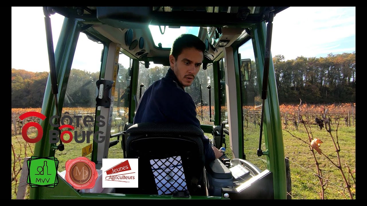 Ma Vie de Vigneron - La complantation