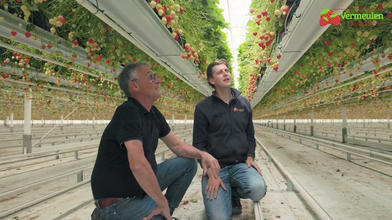 Vermeulen Tuinbouw - Bedrijfsvideo 2025