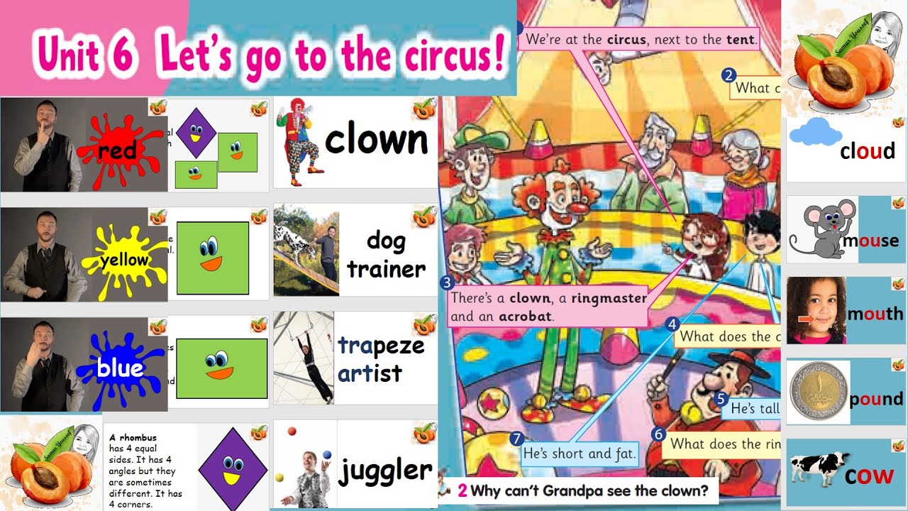 CONNECT primary 3 unit 6 🎪Let's go to the circus🤡flashcards حصريا نصوص الأستماع  وحل الكتاب المدرسي
