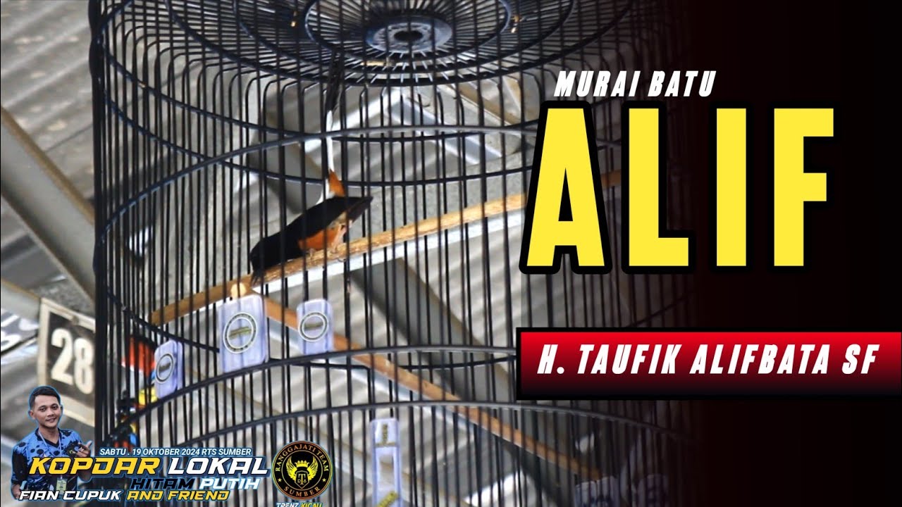 AKSI SUJUD MURAI BATU ALIF JADI TONTONAN DI KOPDAR LOKAL RAIH PODIUM 1