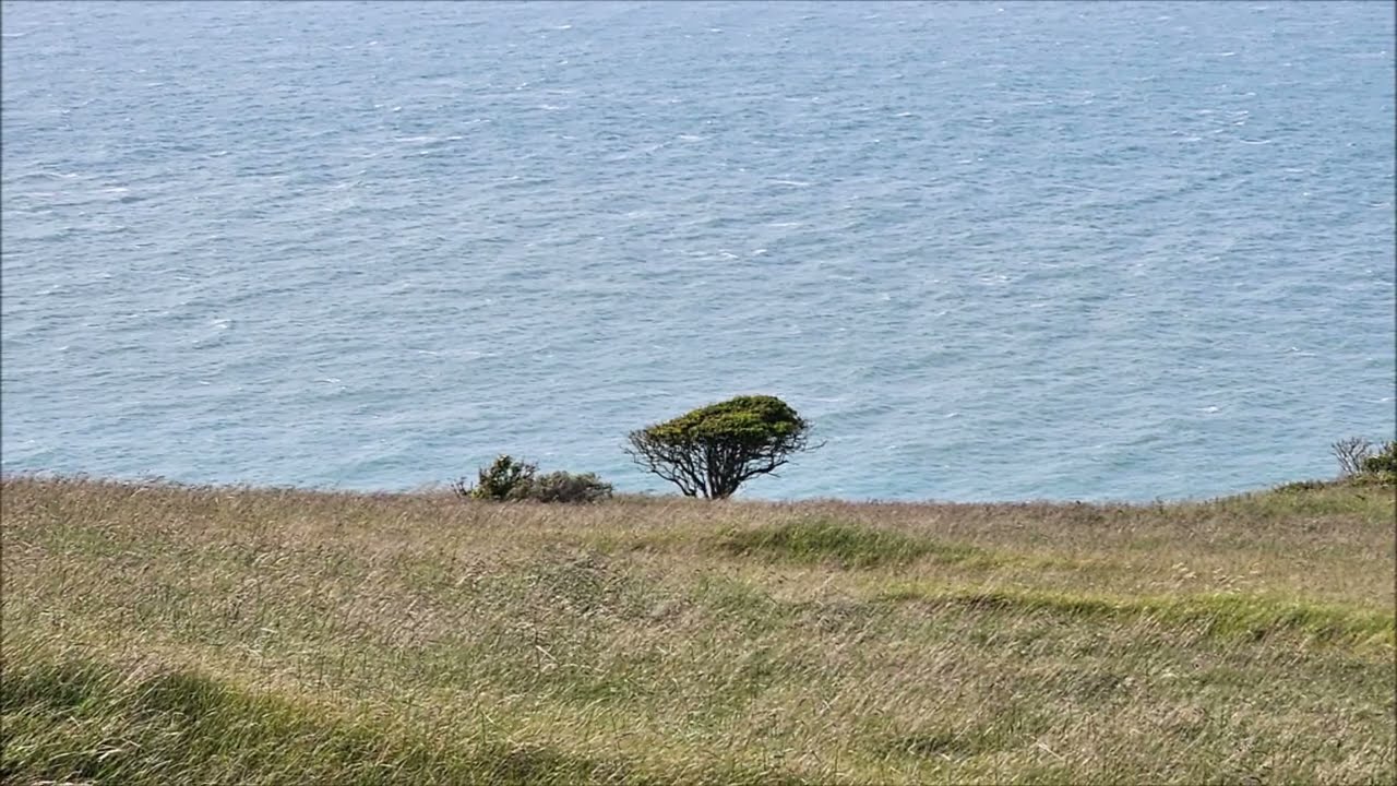 Roadtrip Frankreich Juni 2025 - Cap Blanc Nez (2)