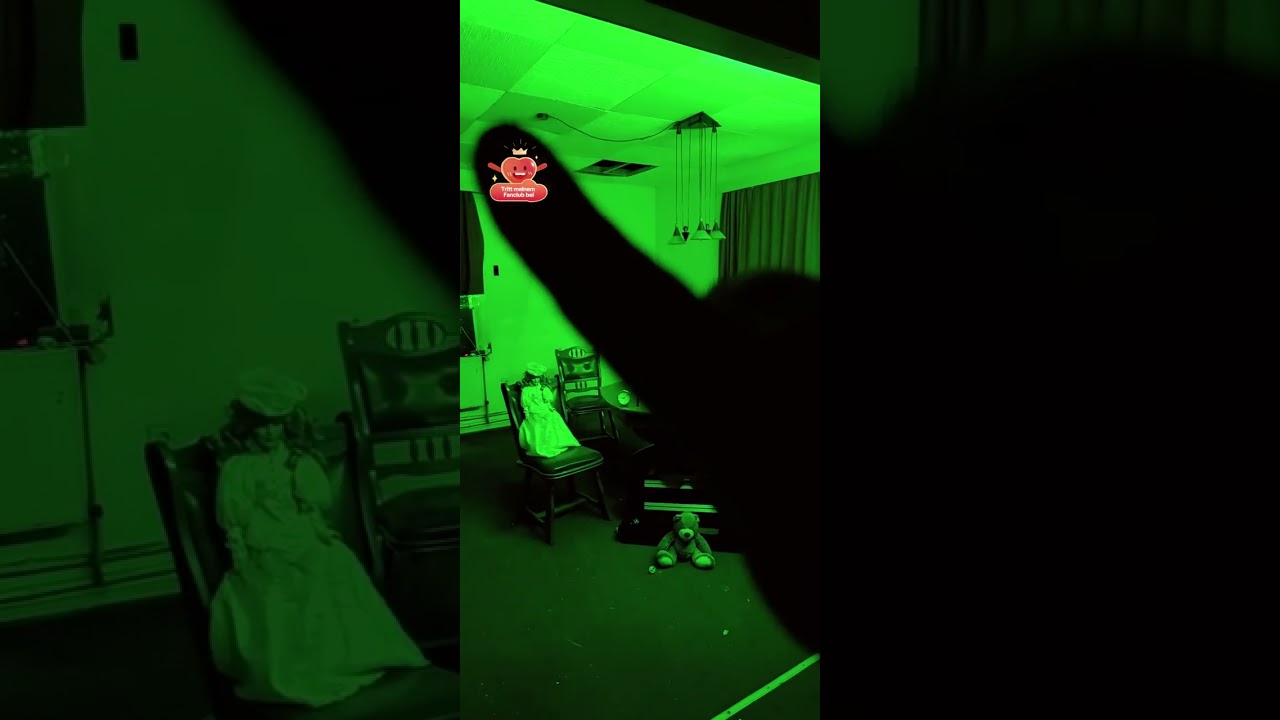 GEISTERHAUS 29 - PL&Ouml;TZLICH IST ER WIEDER AUFGETAUCHT 