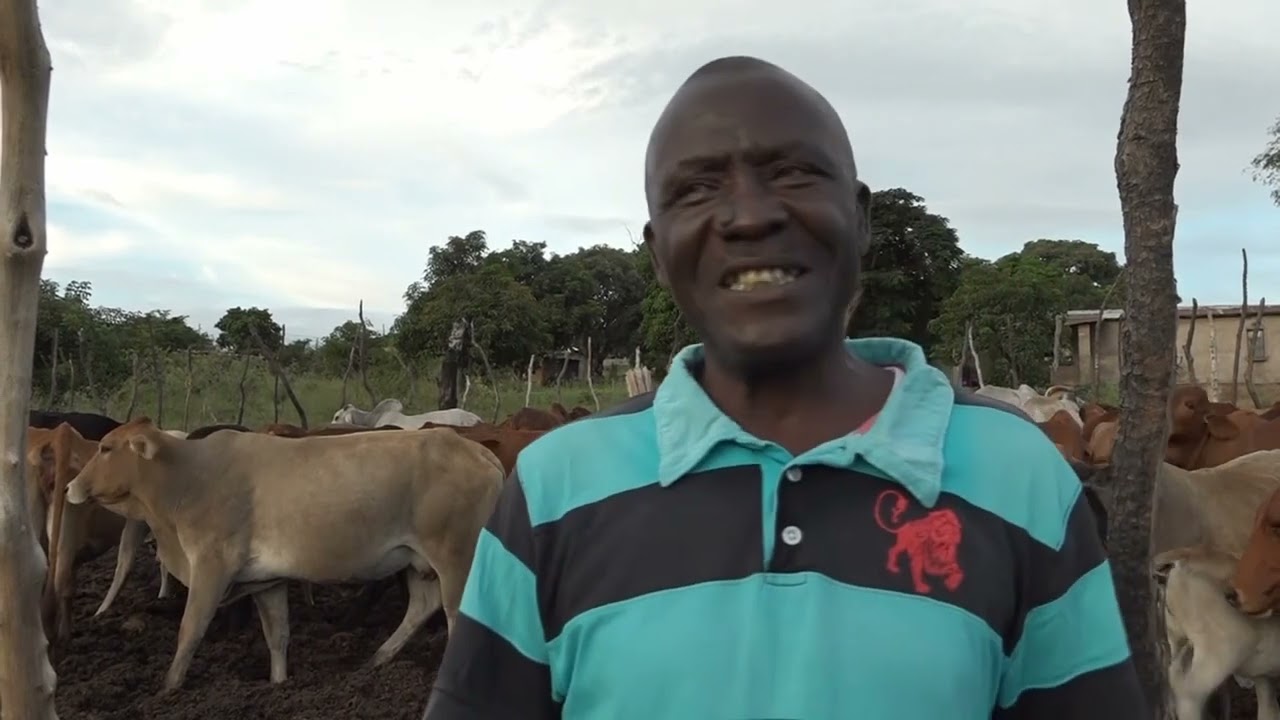 Retired Namibian teacher pursues livestock farming in Zambian village