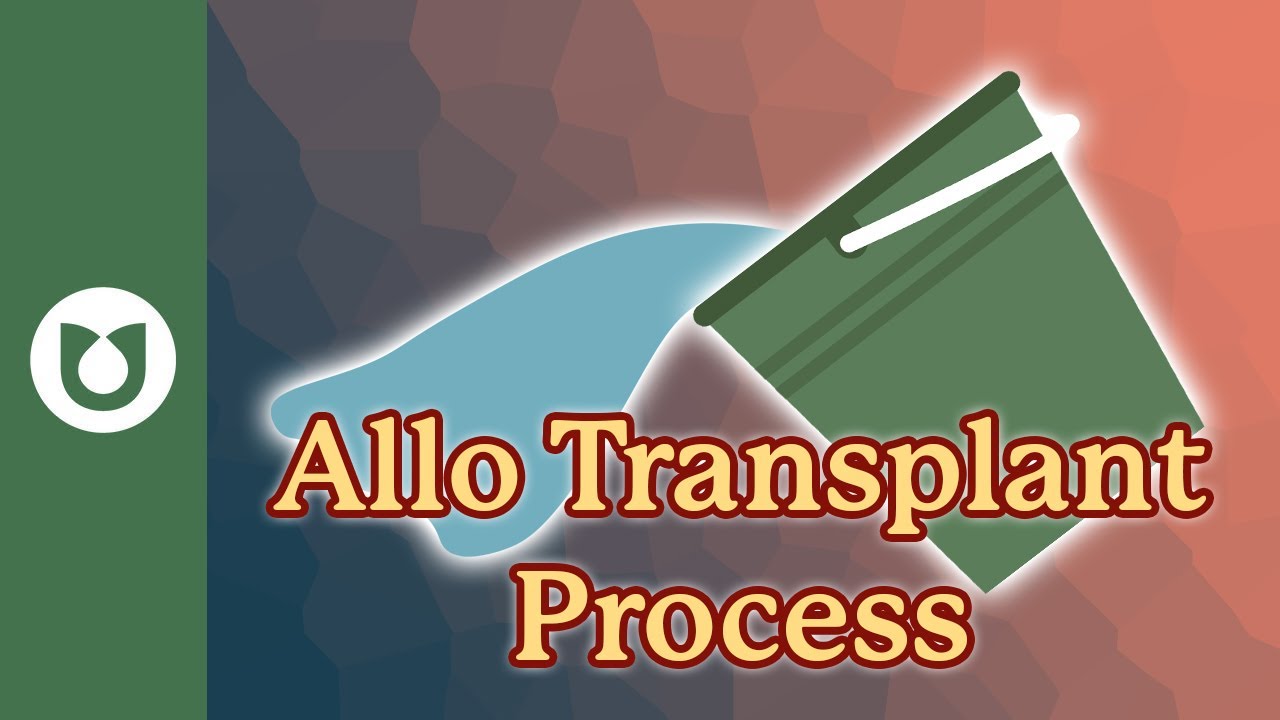 Can you explain the allogeneic transplant process? #AML