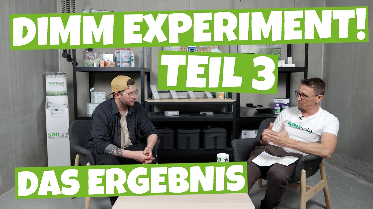 Mehr Power mehr Gramm ? | GROW  LED richtig dimmen | SANlight LED präsentiert das Ergebnis !