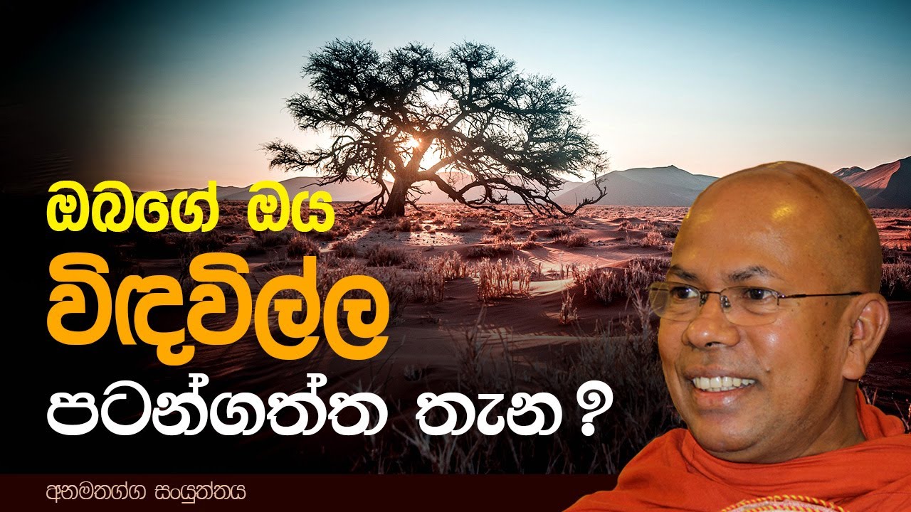 ඔබගේ ඔය විඳවිල්ල පටන්ගත්ත තැන?  | Venerable Kiribathgoda Gnanananda Thero