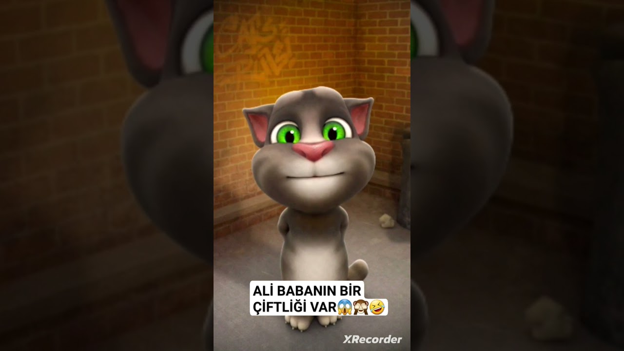 ali babanın bir &ccedil;iftliği var şarkısını s&ouml;yl&uuml;yor konuşan kedi tom #shortvideo #tiktok #tom #cat #cute
