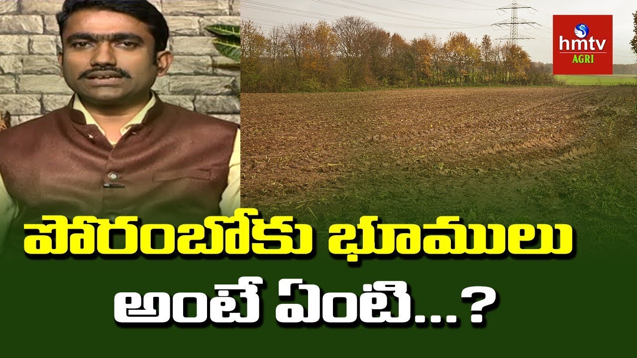 భూచట్టాల్లో వాడే పదాలు వాటి అర్ధాలు |  Sunil Kumar | hmtv Agri