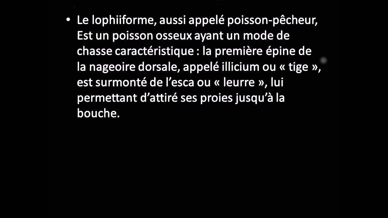 Tout sur les animaux #10 : Le Lophiiforme