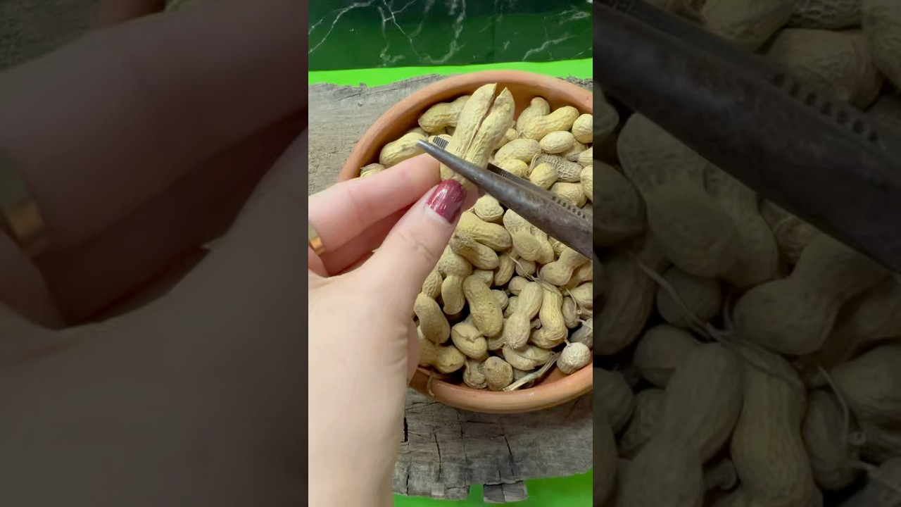 5 Seconds Trick Revealed😱(peanuts peeling trick)