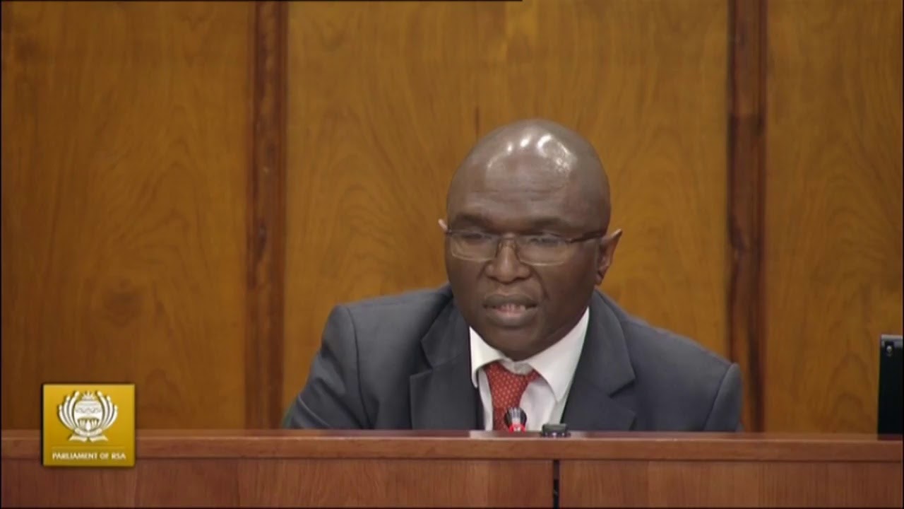 Justice and Correctional Services Committee meet on Public Protector removal