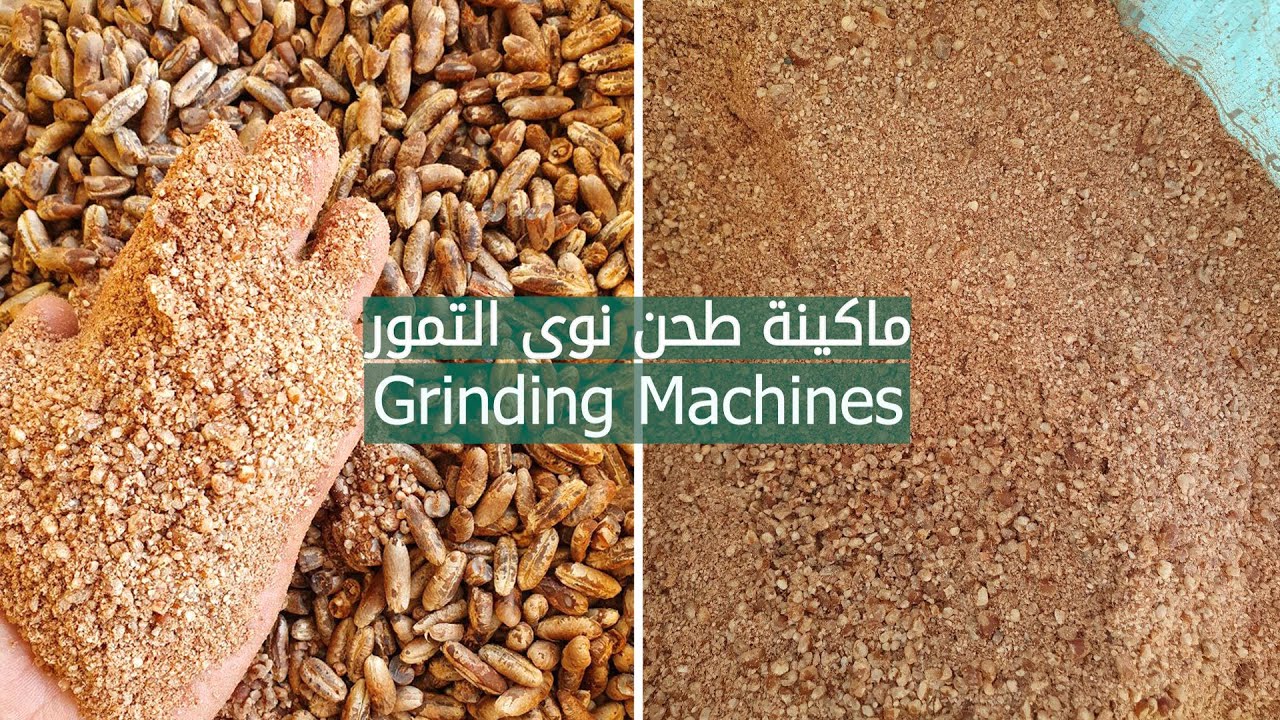 ماكينة طحن نوى التمر || Grinding Machine