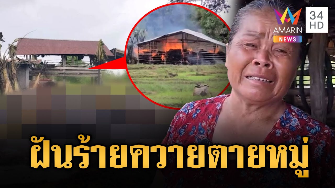 สงสาร! ยายร่ำไห้ไฟไหม้คลอกควายตายหมู่ | ข่าวอรุณอมรินทร์ | 2/6/68