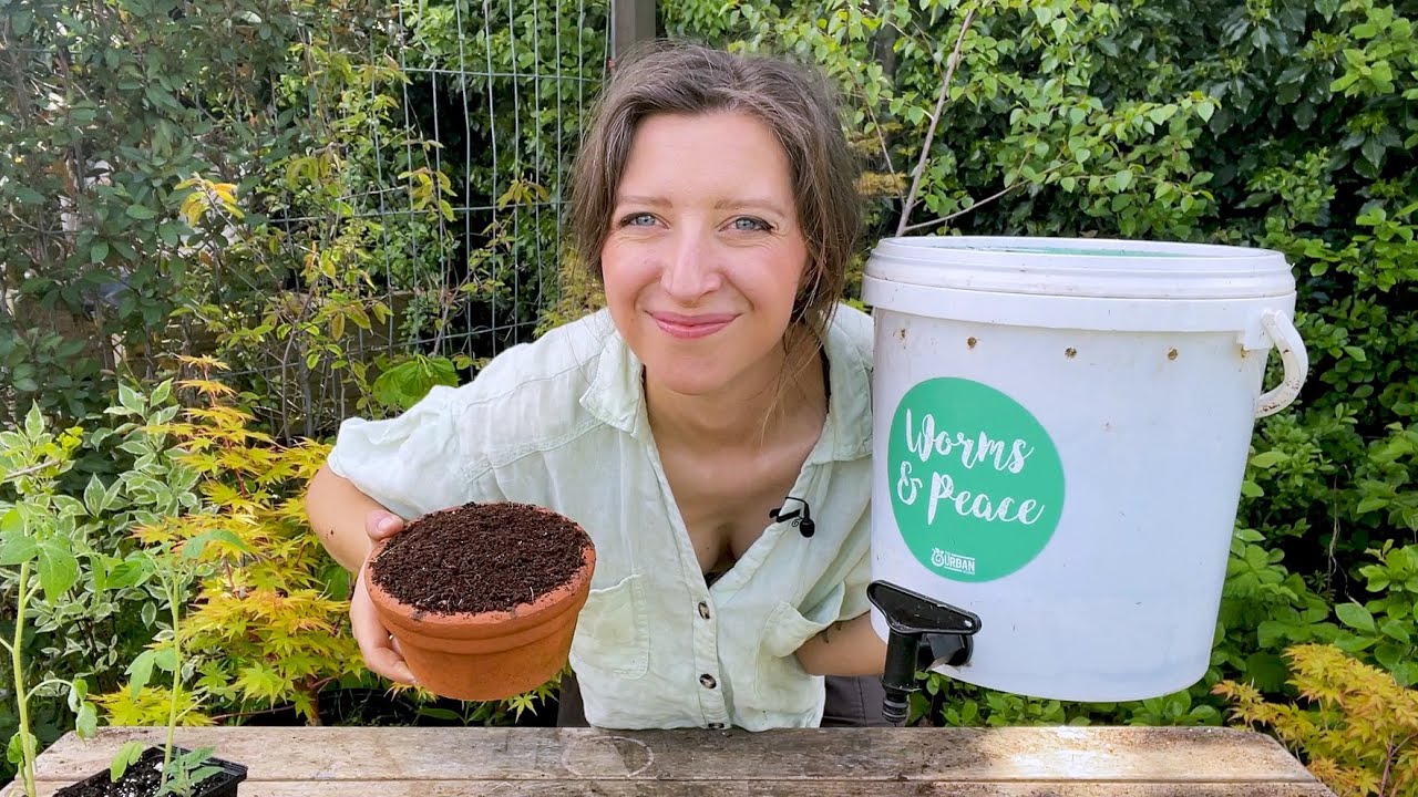 Сбор червячного компоста и обновление моего 4-летнего вермикомпоста