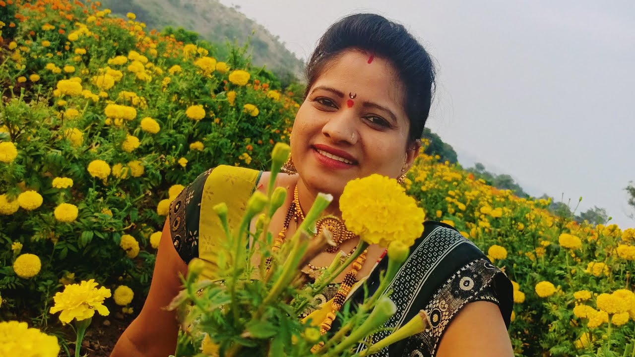 Jayshree-ladies-tailor is live नमस्कार माझ्या मराठी लाईव्ह चॅनेल वर स्वागत आहे  //#live#livestream 