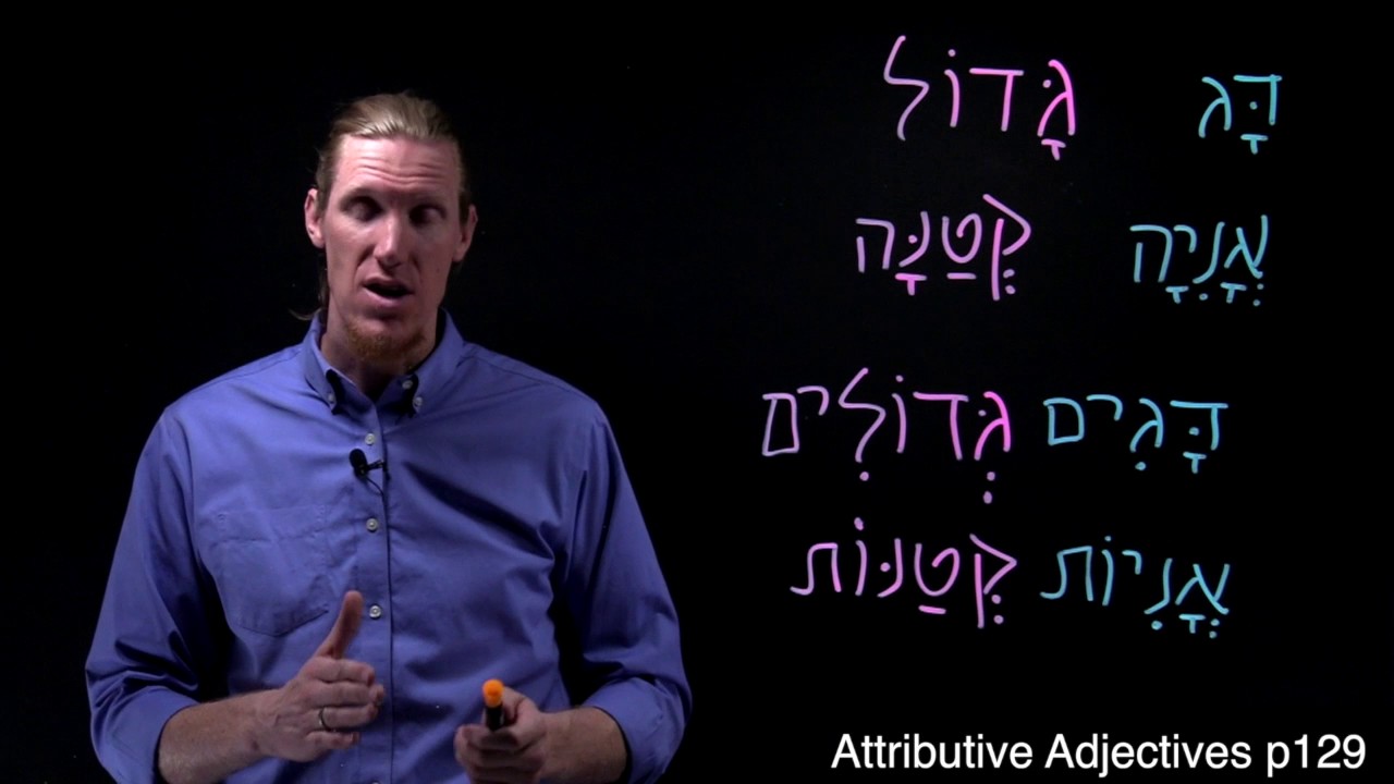 Attributive Adjectives (p129)