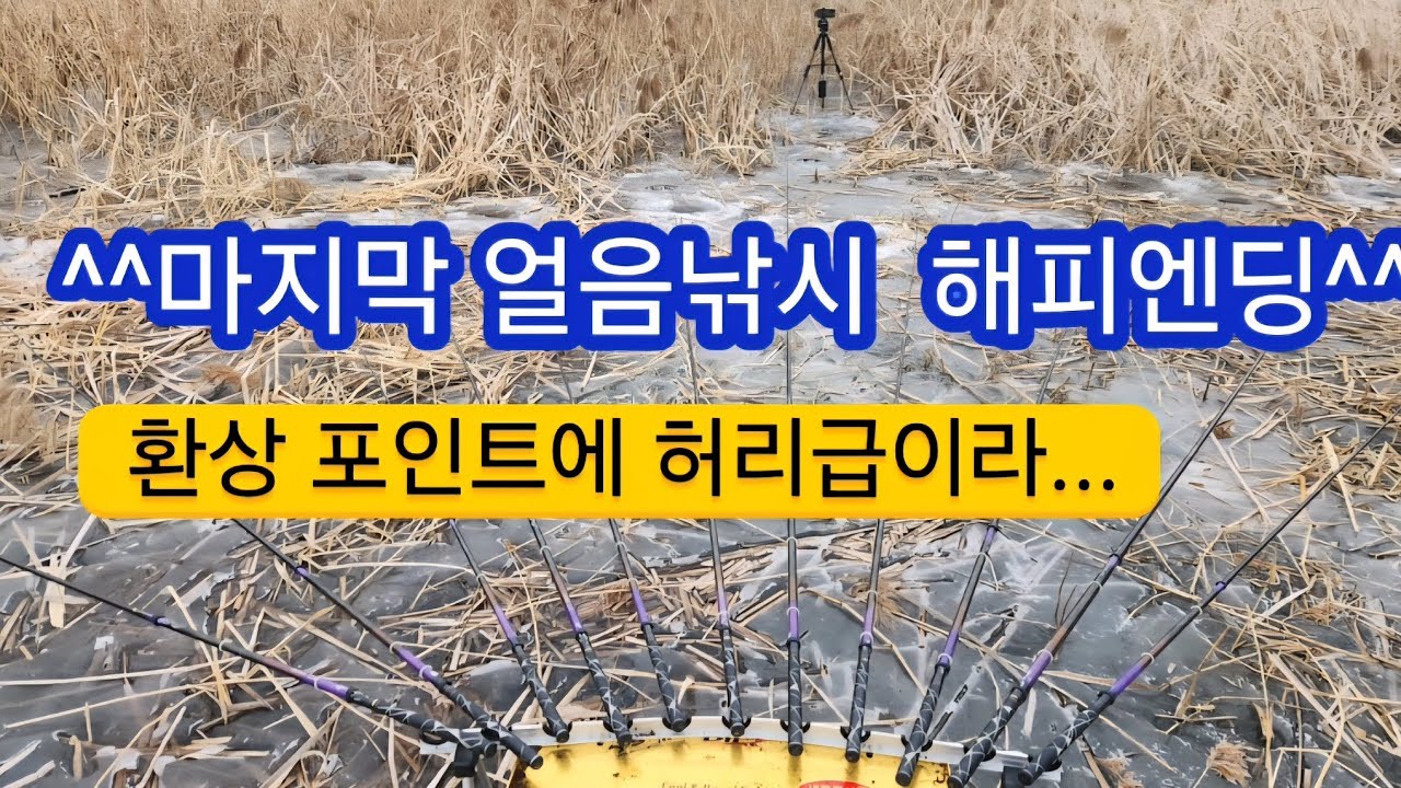 마지막 얼음낚시 대물과의 한판승부/ #꾼의선택TV #대림낚시 #붕어낚시 #얼음낚시 #충남아산 #해빙기 #야전대물 #야경프리미엄 