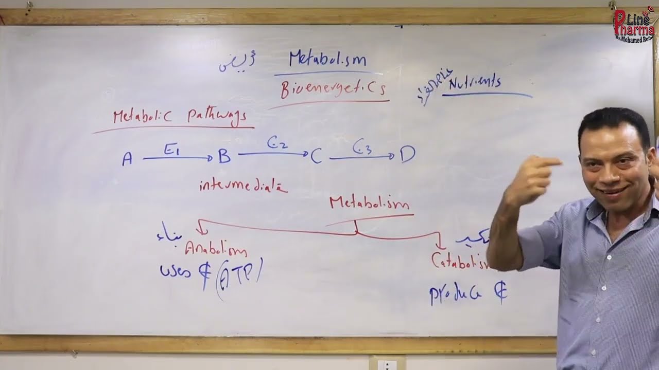 Bio Chemi -Metabolic P1