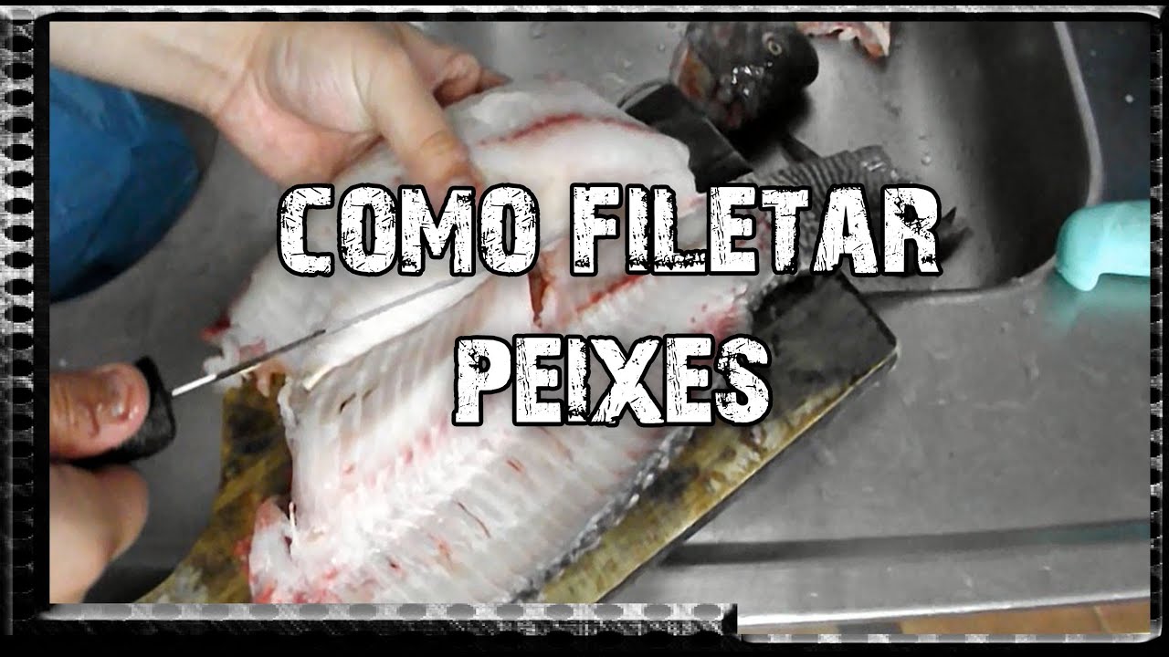 Como Filetar Peixe/How to Fillet Fish