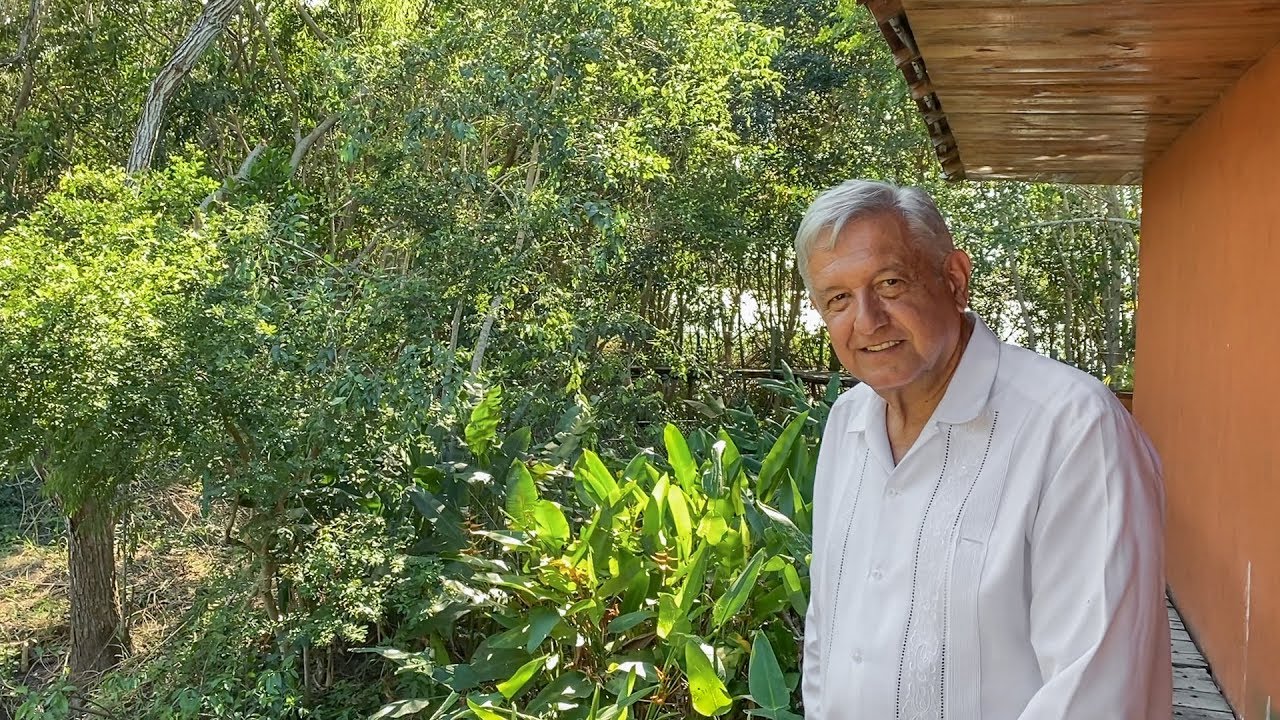 Cocodrilos en Centla, Tabasco