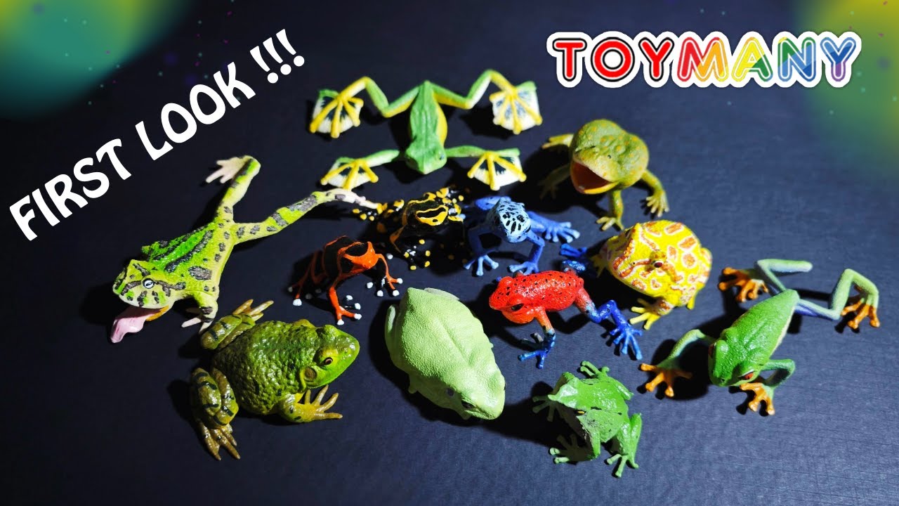 Новый набор &laquo;Лягушка&raquo; от Toymany уже в продаже!!! Ещё больше деталей!!! 😍