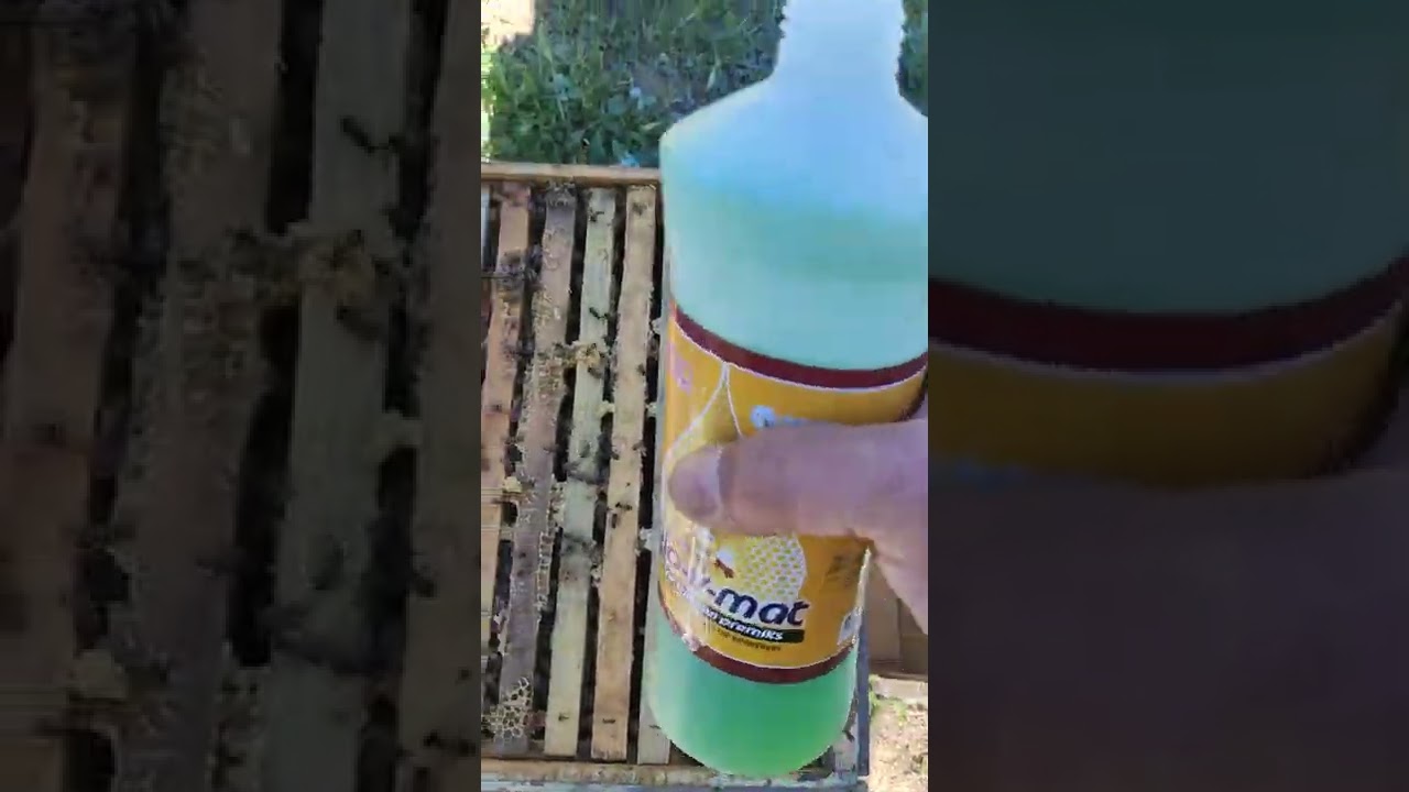 Arıya kat atma,contalı sistem