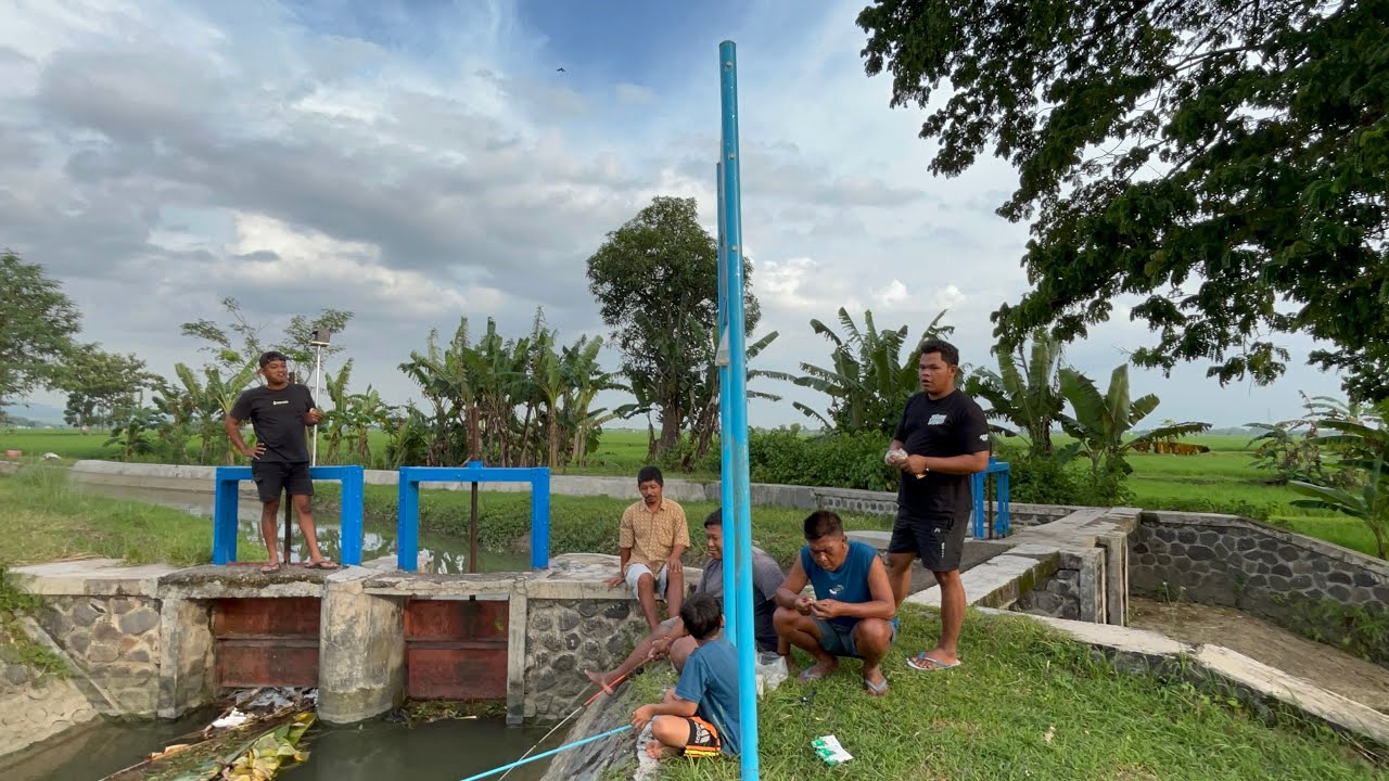 WAYAHE MANCING MUMPUNG GAK UDAN BRO
