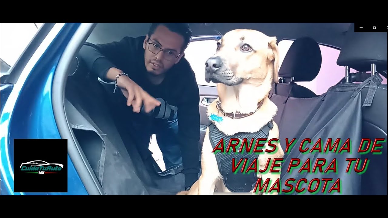 ARNES DE VIAJE Y CAMA / CUBRE  ASIENTOS PARA TU MASCOTA | PRESENTACIÓN Y ARMADO