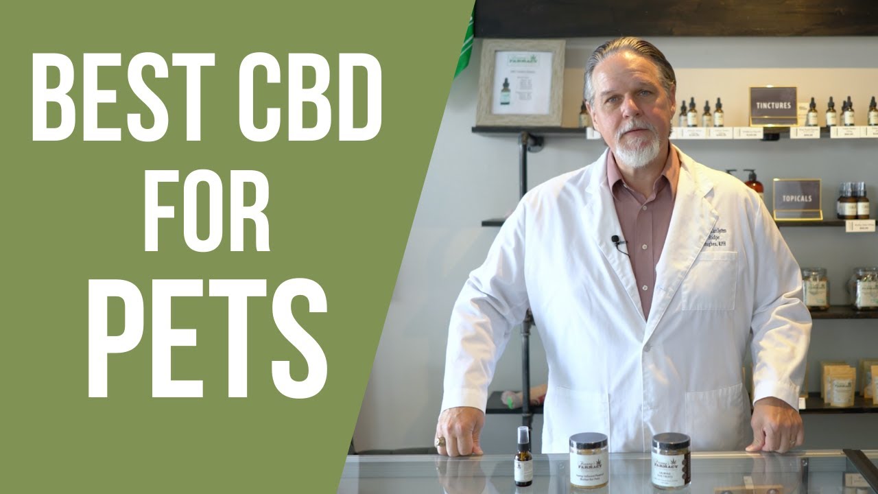 Best CBD for Pets 2026