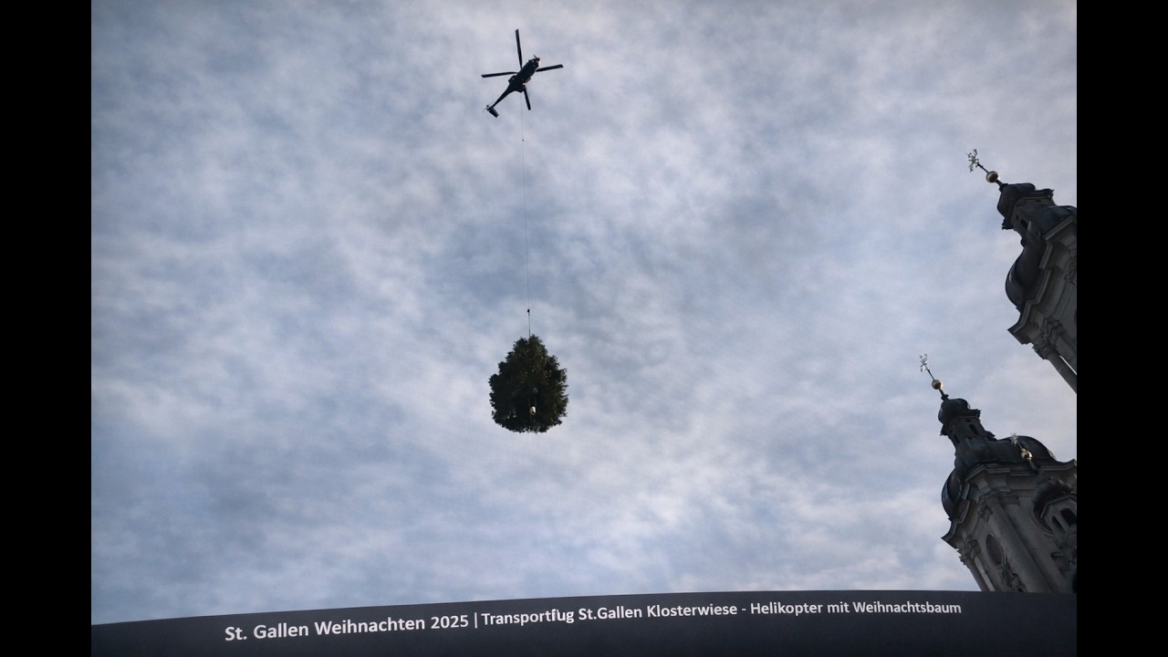 Transportflug St.Gallen - Christbaum mit Helikopter 2025 - Christmas tree transport flight St.Gallen