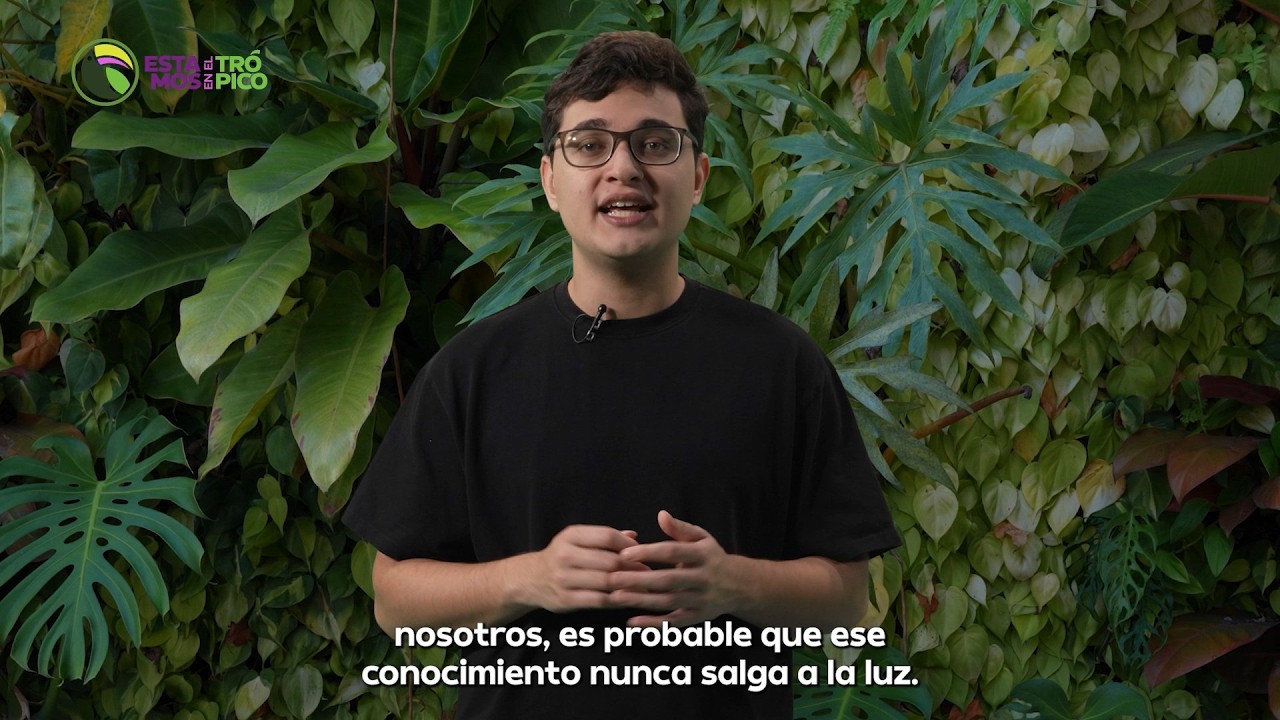 Estamos en el trópico: El frijol como superalimento