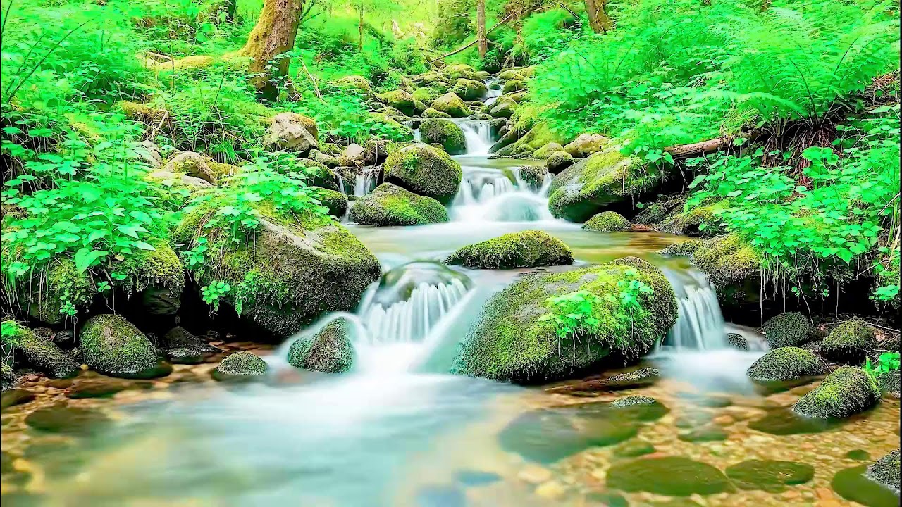 Flowing River Sound for Deep Sleep | Calm Nature Noise for Wellness and Sleep Aid
