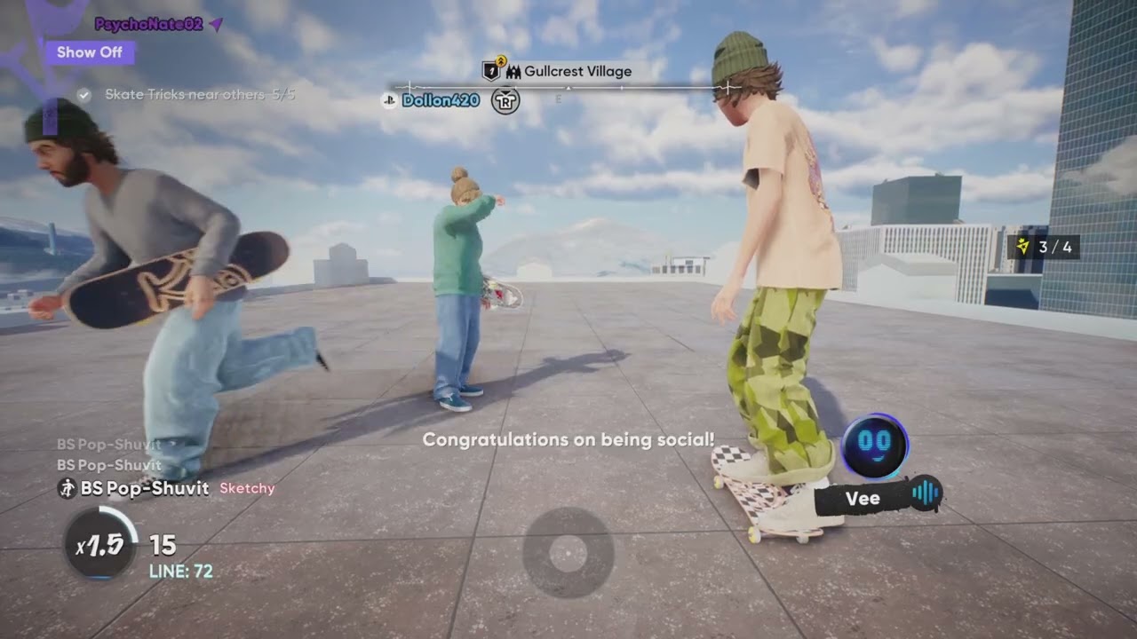 The Skate Video