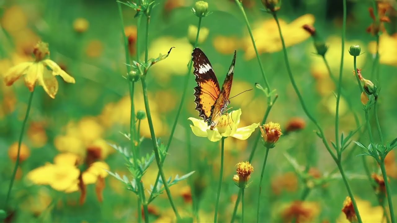 දත්ත වල දත්ත බවෙන් මිදෙමුද