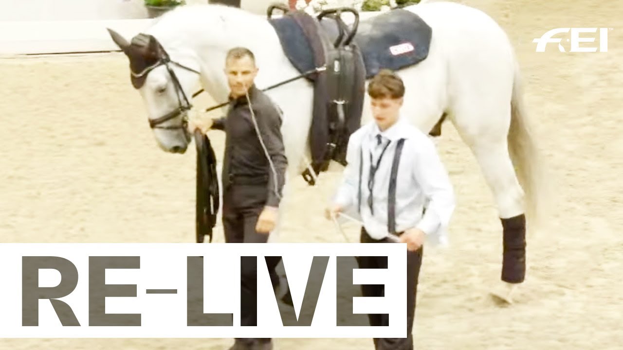 RE-LIVE | Individual Male - Young Vaulter Freestyle I FEI Vaulting European Championship