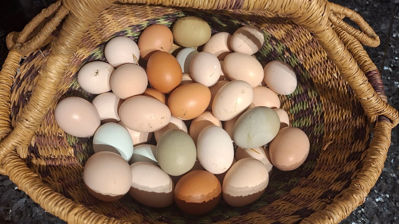 Наши будни в выходной день. 