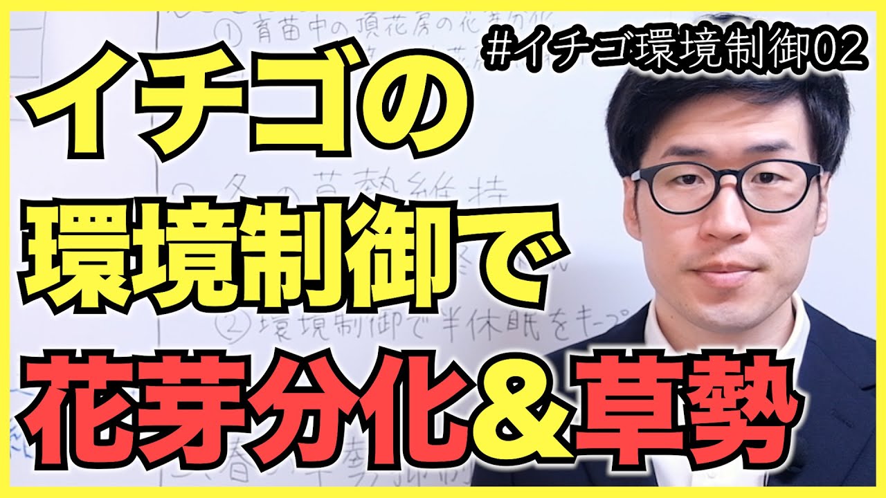 イチゴの環境制御で花芽分化と草勢維持を最適化【いちご農園の環境制御02】