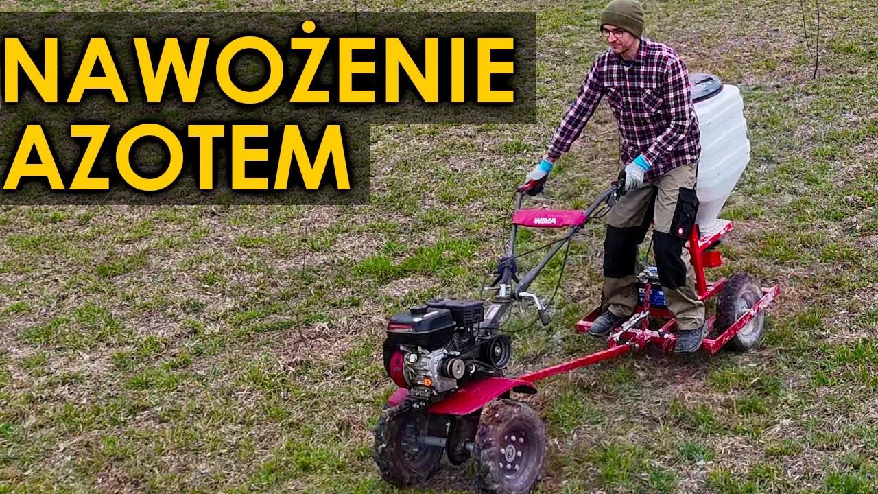 Nawożenie azotem młodego sadu