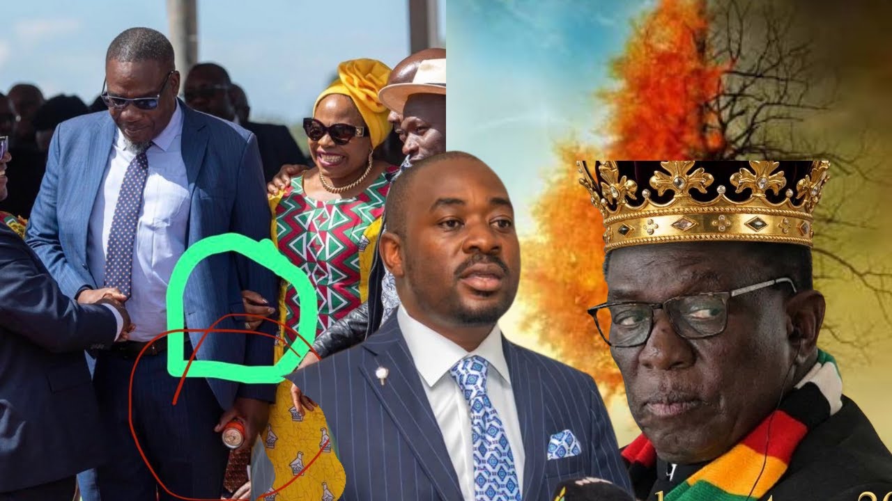 CHRLTON HWENDE EXPOSED FOR CREATING TSHABANGU, ATTACKING CHAMISA  AND AIDING 2030