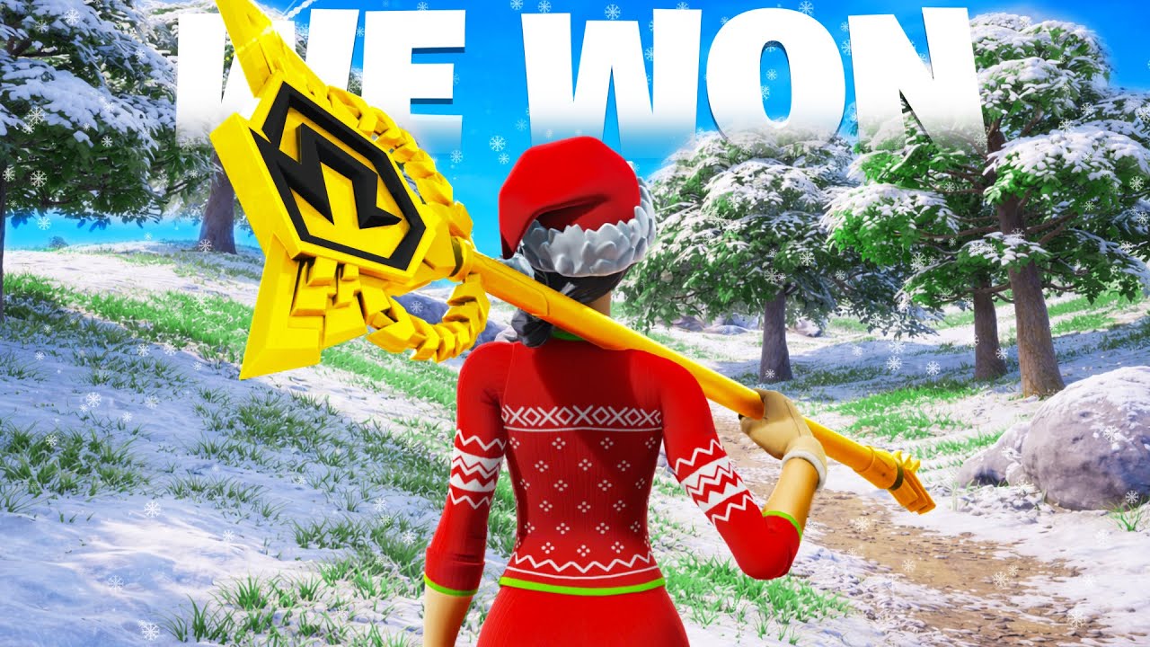 I Won Fortnite's Funniest Tournament...