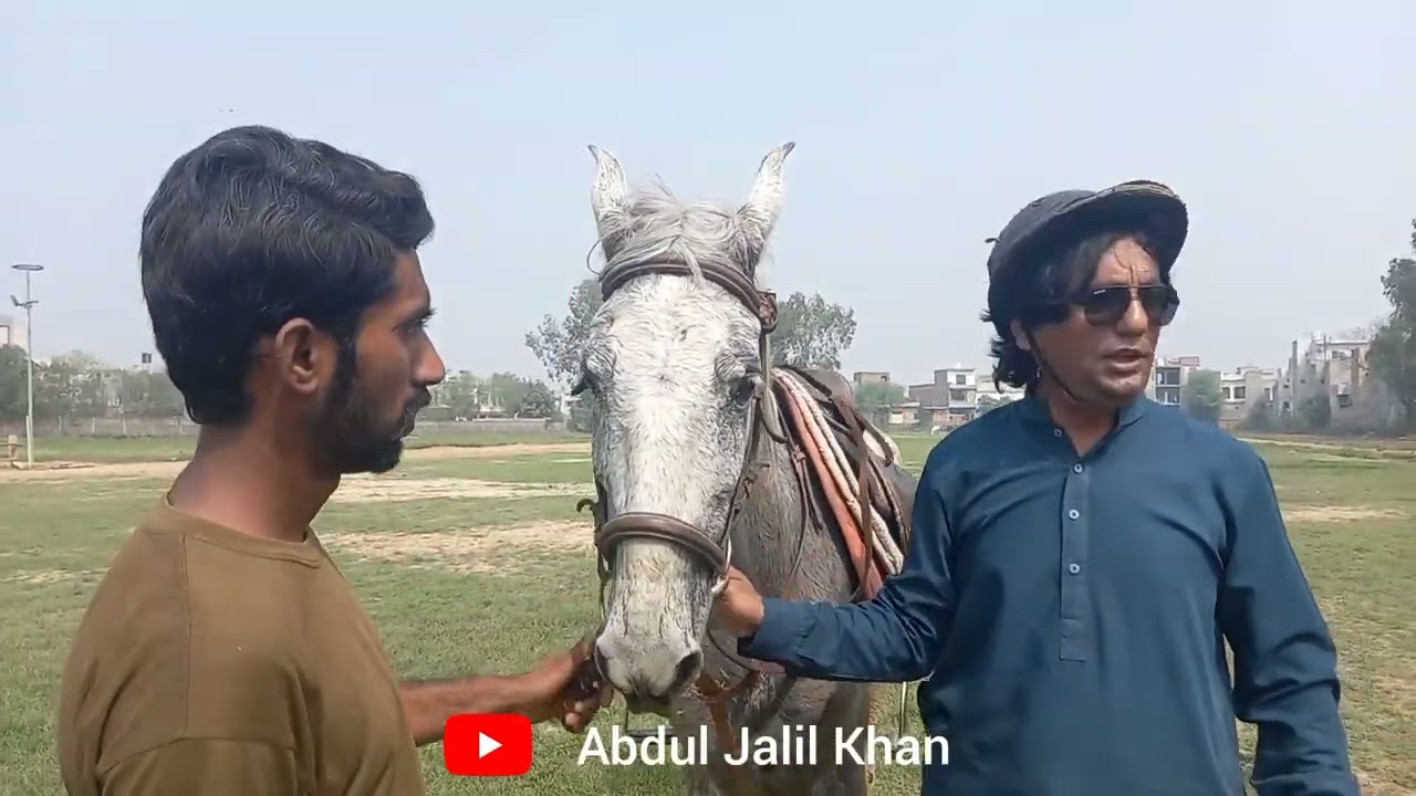 Lahore  | Horse Riding | Race
