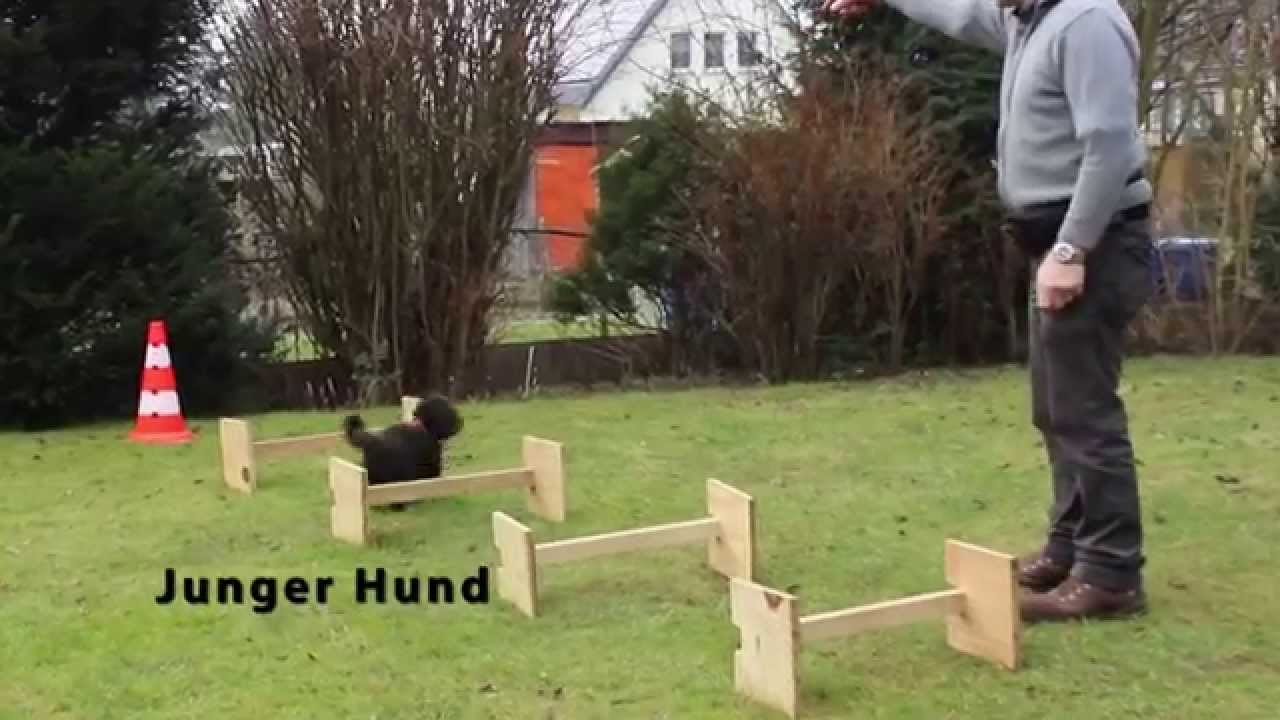 Wolfgang Steffens mit Leni und Lotte