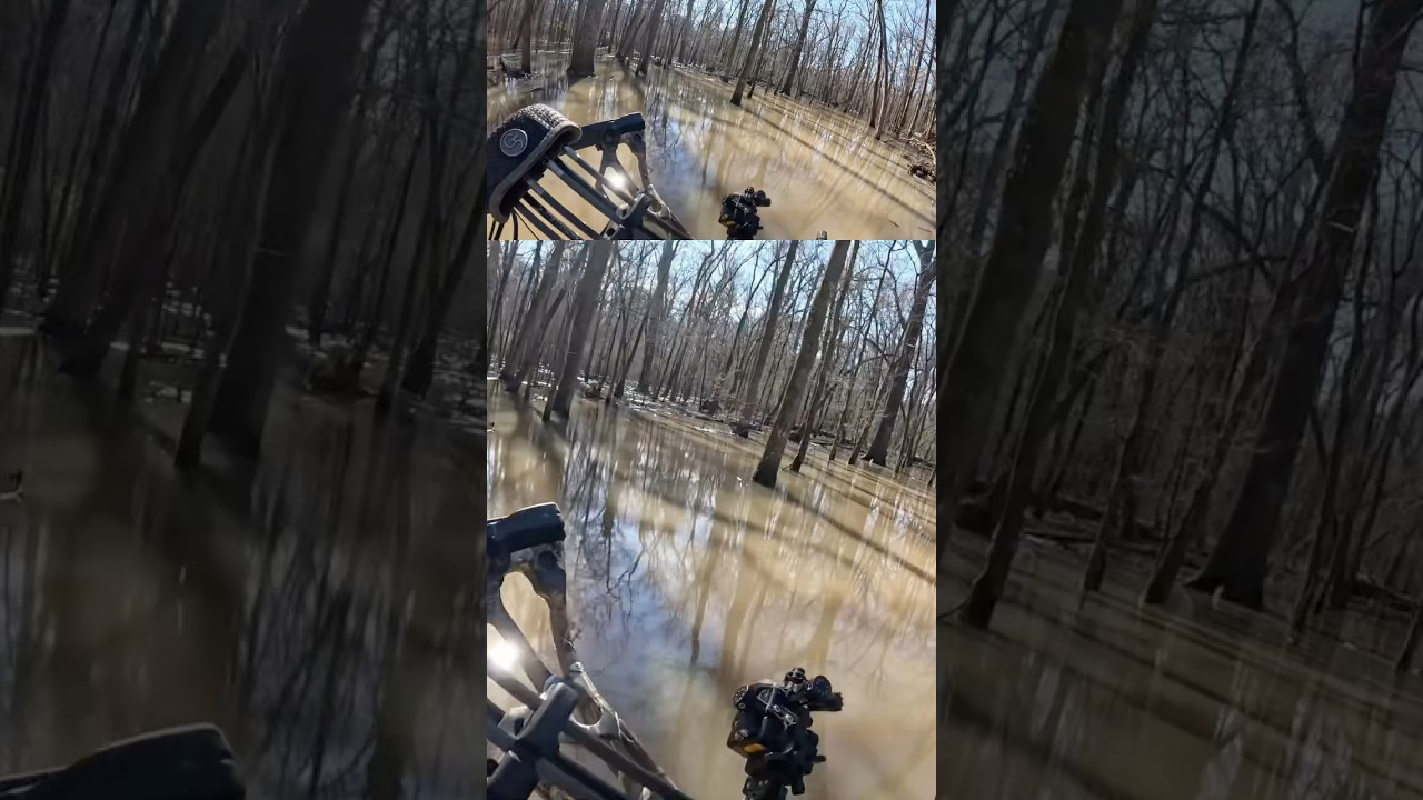 Что мы делаем, чтобы охотиться на оленей… Перебираемся через затопленный лес в поисках оленей 